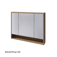 Зеркальный шкаф Caprigo 2052 100 см (экошпон)