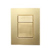 Кнопка смыва Wonzon & Woghand WW-IB256-BG золото брашированная пневматическая