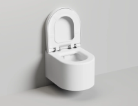 Унитаз подвесной Salini Gemelli 240121KSMF только светлые оттенки RAL Classic матовый с крышкой и сиденьем