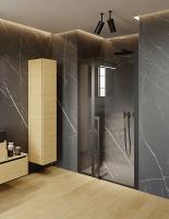 Душевая дверь Riho Lucid 110x200 G005004121 профиль черный