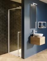 Душевая дверь Riho Lucid 90x200 G005002121 профиль черный