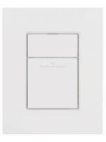 Кнопка смыва Wonzon & Woghand WW-IB256-MW белый матовый пневматическая