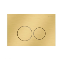 Кнопка смыва Caprigo DS001 золото