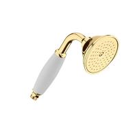 Душевая лейка Webert AC0428010 золото глянцевая