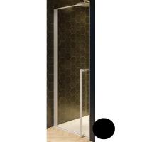 Душевая дверь Riho Lucid 100x200 G005003121 профиль черный