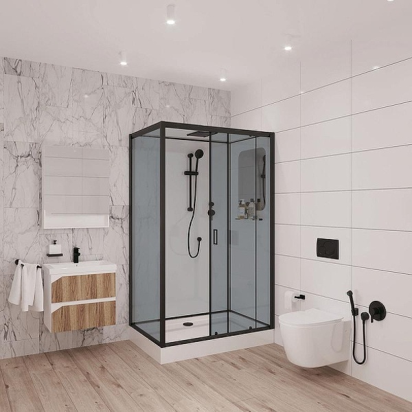Душевая кабина Niagara Classic 120x80x210 69120134QR профиль черный, стекло тонированное