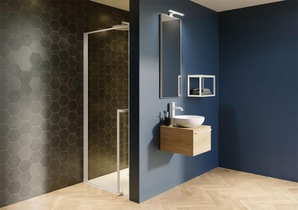 Душевая дверь Riho Lucid 100x200 G005003121 профиль черный