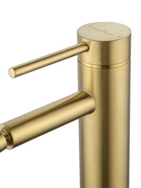 Смеситель для биде Wonzon & Woghand Stick WW-88339017-BG золото брашированный