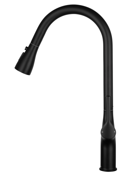 Смеситель для кухонной мойки Wonzon & Woghand WW-AE54123-MB черный матовый