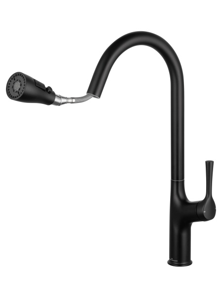 Смеситель для кухонной мойки Wonzon & Woghand WW-AE54123-MB черный матовый