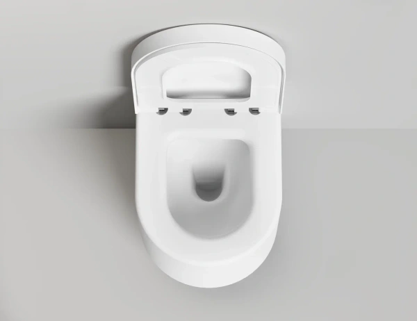 Унитаз подвесной Salini Gemelli 240121KSMF только светлые оттенки RAL Classic матовый с крышкой и сиденьем